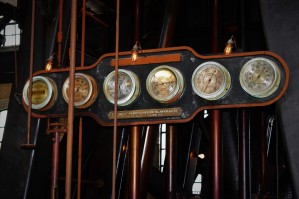 Water plant2
